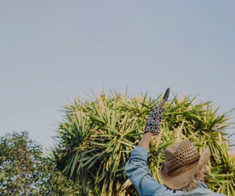 Gardener tending to plants, illustrating the care for natural ingredients used in Batana Oil